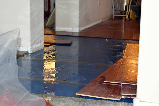 Professional Burst Pipe Cleanup technician working in Brookeville, MD