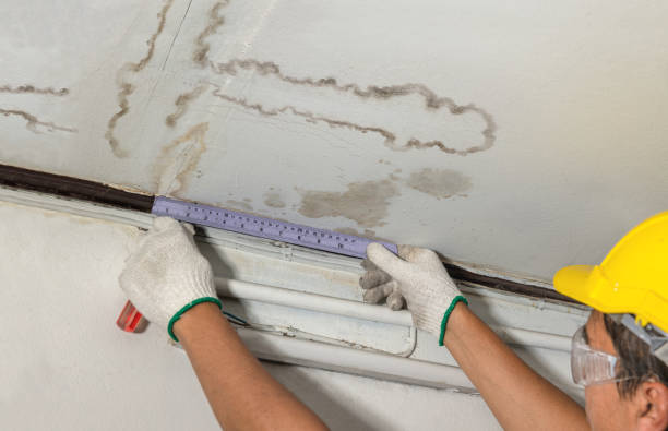 Reliable Burst Pipe Cleanup contractor in Brookeville, MD by Water Damage Irwin